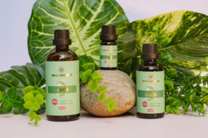 Tinh dầu bưởi-Các loại tinh dầu phổ biến