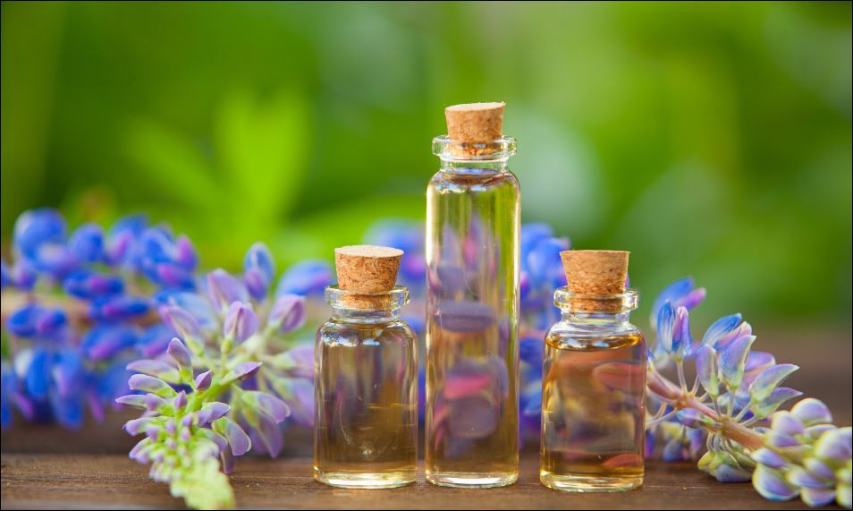 CÁC LOẠI TINH DẦU PHỔ BIẾN VÀ CÔNG DỤNG ĐẶC BIỆT