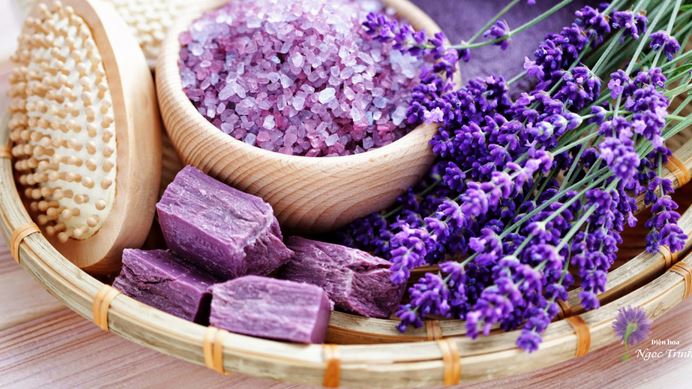 Các loại tinh dầu thường dùng trong làm đẹp