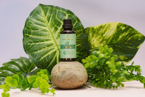 Bạn đã thực sự biết cách sử dụng tinh dầu?