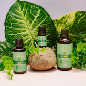 Tinh Dầu Sả Chanh