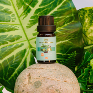 Tinh dầu bạc hà