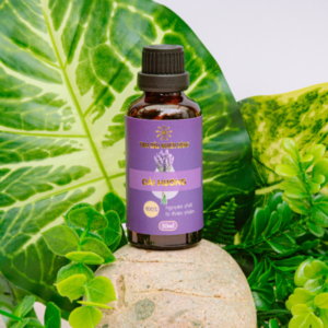 Tinh dầu Oải Hương