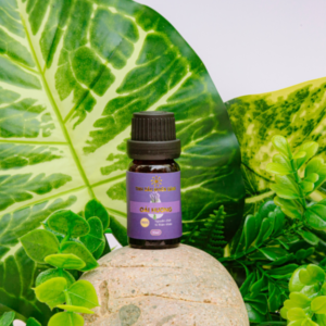 Tinh dầu Oải Hương