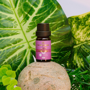 Tinh Dầu Hương Nhu