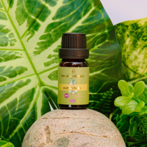 Tinh Dầu Hương Thảo