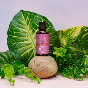 Tinh Dầu Hương Nhu