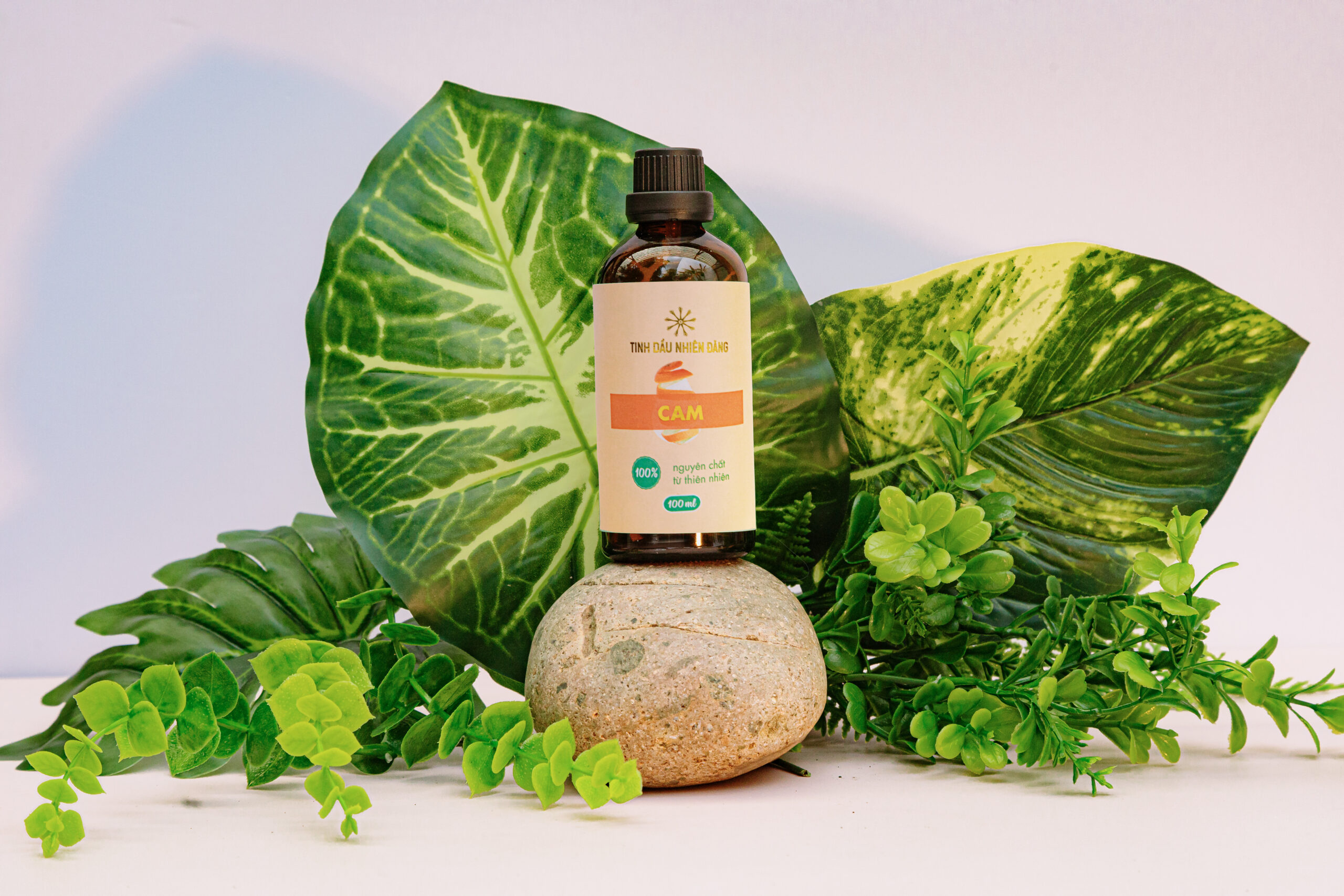 Phương pháp sử dụng tinh dầu trong Y học