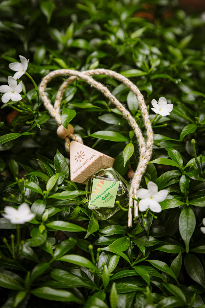 Lưu bản nháp tự động