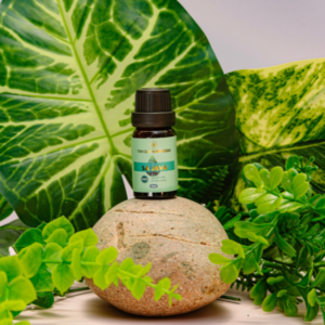 Tinh Dầu Sả Java